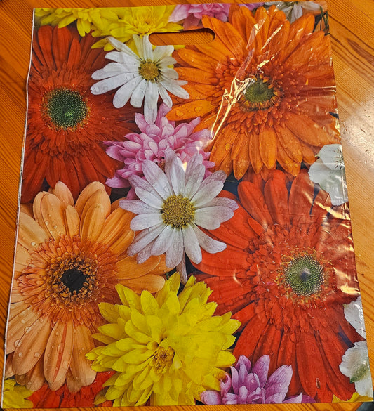 Villit pussitarjoukset