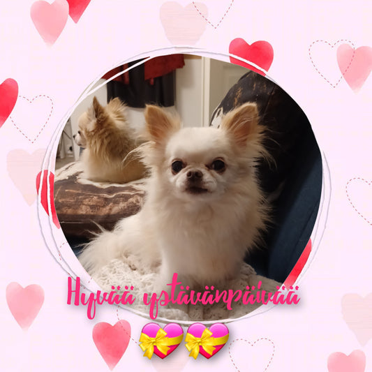 Värikästä ystävänpäivää